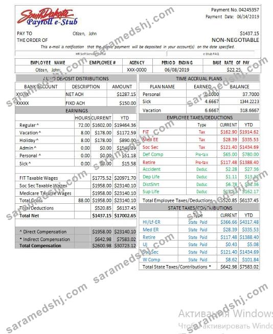 USA South Dakota payroll e-stub word and pdf